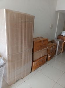packers movers