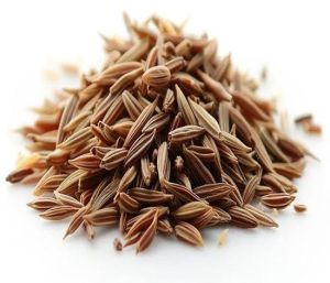 Brown Organic Caraway Seeds Food Grade for Cooking Baking
