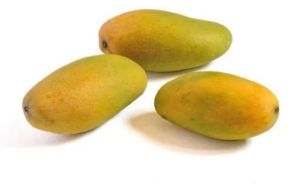 A Grade Fresh Dasheri Mango