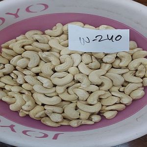 W240 Whole Cashew Nuts