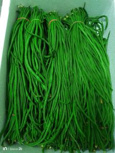 Fresh Vegetables Fresh Vegetables