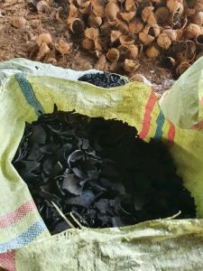 Coconut Shell Charcoal