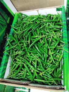 A Grade g4 Fresh Green Chilly