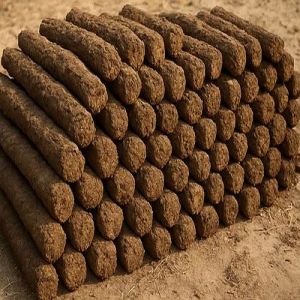 Cow Dung Logs