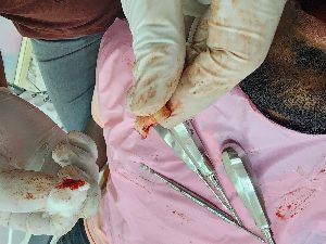 Emergency Dental Trauma Management