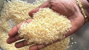 Organic Long Grain Parboiled Rice, Packaging Type : Jute Bag