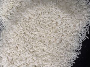 Raw Rice, Packaging Size : 10Kg, 25Kg, 50Kg for Cooking