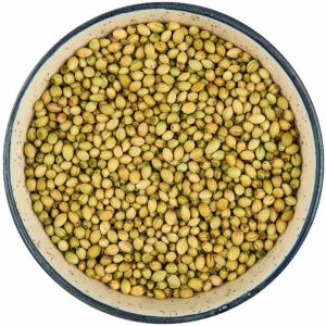 coriander seeds