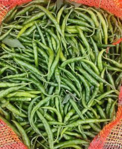 Green Chilli for Spices, Cooking, Packaging Type : Net bag, Bulk