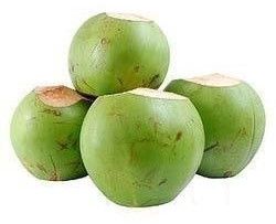 B Grade Fresh Tender Coconut