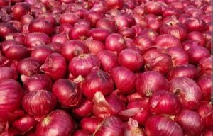 Onions