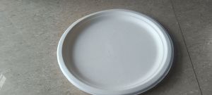 Bagasse Plate