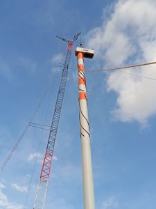 Manpower Support Service