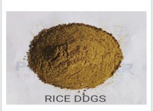 Distillers Dried Grains Soluble DDGS