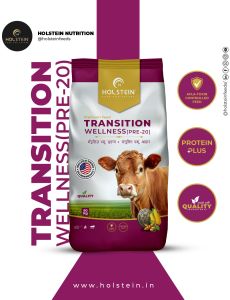 Holstein Transition Wellness Pre 20 Cattle Feed