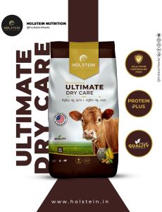 Holstein Ultimate Dry Care Pellet Feed Holstein Ultimate Dry Care Pellet Feed