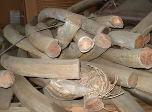 Copper Cable Scrap, Color : Brown, Brand Name : Used