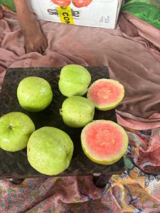 fresh guava