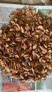 Dori - Mahua Seeds
