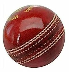 Leather Cricket Balls