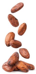 Cocoa Beans