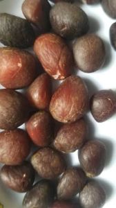 Palm Kernel Seed, Color : Brown, Form : solid