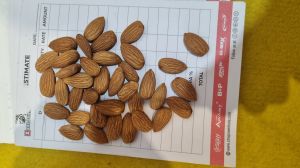 Whole Almond for Human Consumption