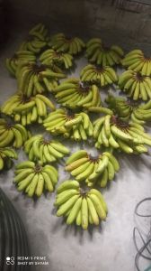 Fresh Banana Fruit