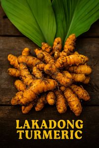Lakadong Turmeric