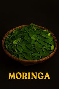 moringa leaves