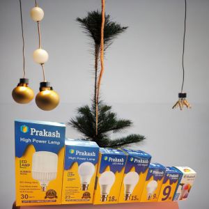 12 W Prakash LED Bulb, Color : White For Indoor Lighting
