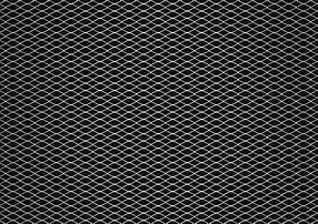 Stainless Steel Wire Mesh