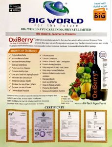 Oxiberry Anti-oxidant Health Drink
