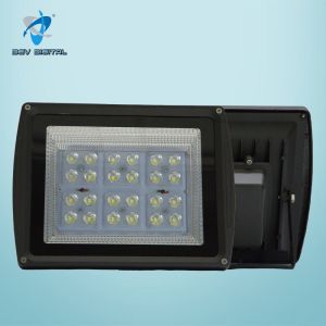 100W Flood Light