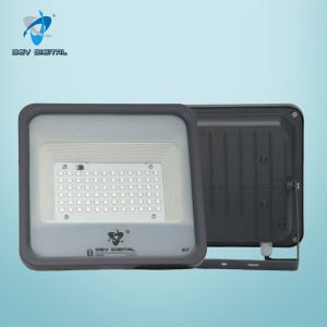 100W LED Flood LIGHT- RGB