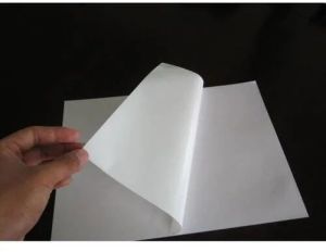 Adhesive Paper Transparent PVC Gumming Sheet