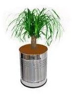 Steel Planters for Offices, Living Areas, Rooms