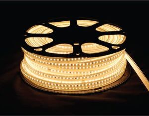 Coral LED Rope Light