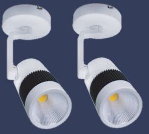 Wall Spot Light Brio