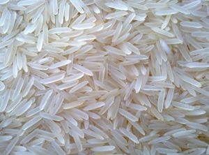 1121 White Sella Rice