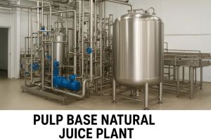 Pulp Based Juice Plant
