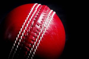 Leather Cricket Balls, Color : Red