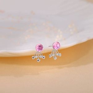 925 Silver Passion Heart Earrings