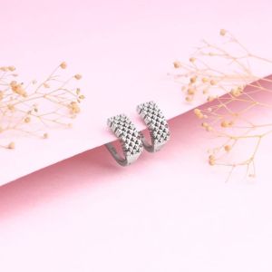 Silver Sparkling Shine Hoop Earrings (One Size)