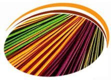 Aromatic Incense Sticks