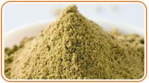 Coriander Powder