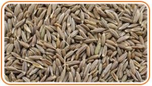 cumin seeds