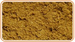 Cumin Seeds Powder