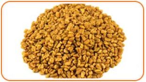 Fenugreek Seeds