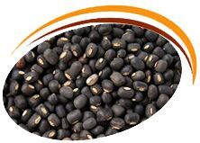 Urad Dal Chhilka, Color : Creamy White Small
